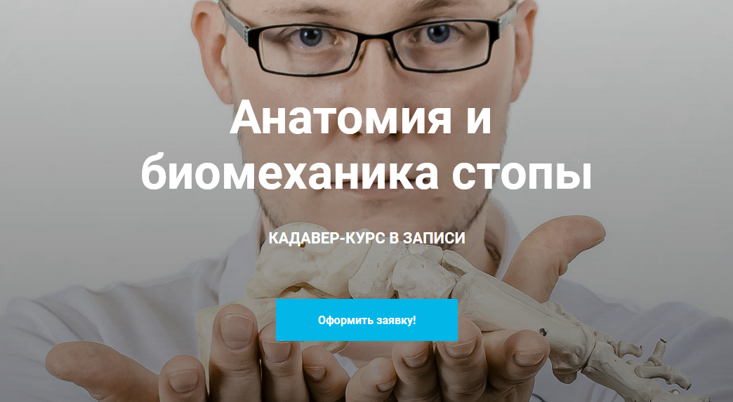 [Кирилл Шлыков, Михаил Касаткин] Анатомия и биомех_0.png